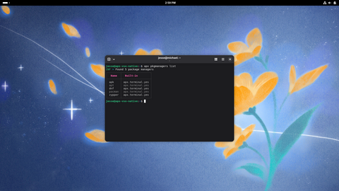 Running the command line APX tool